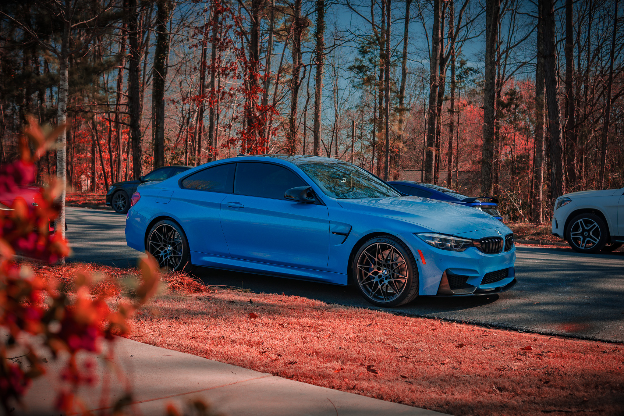 BMW M4 parked along a tree-lined road at dusk