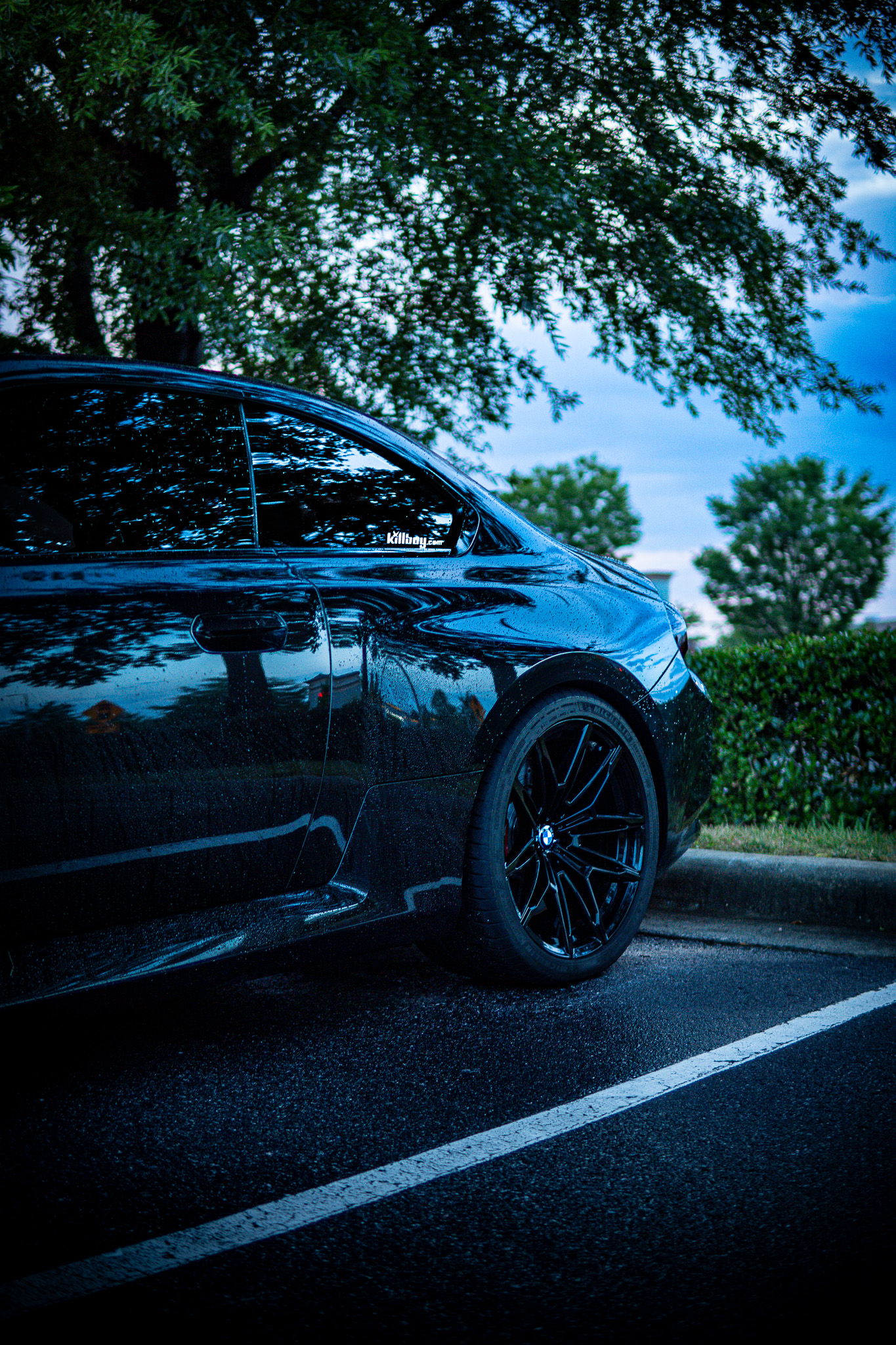 Black BMW M2 parked under a tree at dusk